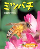 虫のくらし写真館 〈１１〉 - ドキドキいっぱい！ ミツバチ