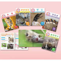 くらべてみよう！どうぶつの赤ちゃん第３期（全５巻セット） - 図書館用特別堅牢製本図書