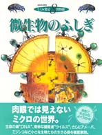 微生物のふしぎ - 肉眼では見えない小さな世界を模型断面でみる しくみ発見博物館