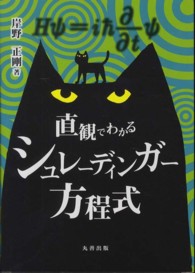 直観でわかるシュレーディンガー方程式