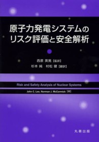 原子力発電システムのリスク評価と安全解析
