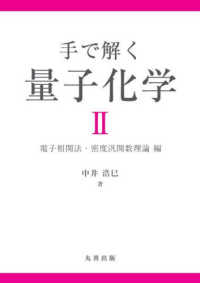 手で解く量子化学〈２〉電子相関法・密度汎関数理論編