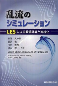 乱流のシミュレーション―ＬＥＳによる数値計算と可視化