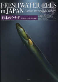 日本のウナギ