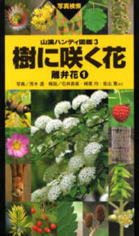 樹に咲く花 〈離弁花　１〉 山渓ハンディ図鑑 （改訂第３版）