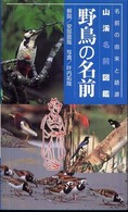 野鳥の名前 - 山溪名前図鑑