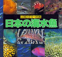 山渓カラー名鑑<br> 日本の海水魚