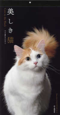 美しき猫カレンダー - Ｃａｔｓ　ｉｎ　ｔｈｅ　Ｂｌａｃｋ ［カレンダー］