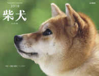 柴犬カレンダー 〈２０１８〉 ［カレンダー］