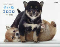 子いぬコロコロカレンダー 〈２０２６〉 ［カレンダー］