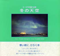 冬の天空 - オーロラの舞う北欧