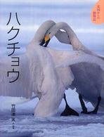 北国からの動物記<br> ハクチョウ
