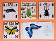 今森光彦世界の昆虫美術館（全４巻）