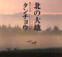 北の大地タンチョウ―和田正宏写真集