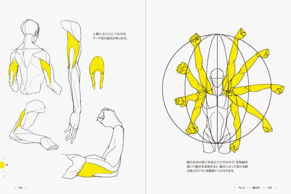 ＴＡＣＯ直伝！知っているだけで劇的に上達する人体ドローイングのコツ３９０_7