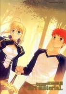 Ｔｅｃｈｇｉａｎ　ｓｔｙｌｅ<br> Ｆａｔｅ／ｃｏｍｐｌｅｔｅ　ｍａｔｅｒｉａｌ 〈１〉 Ａｒｔ　ｍａｔｅｒｉａｌ