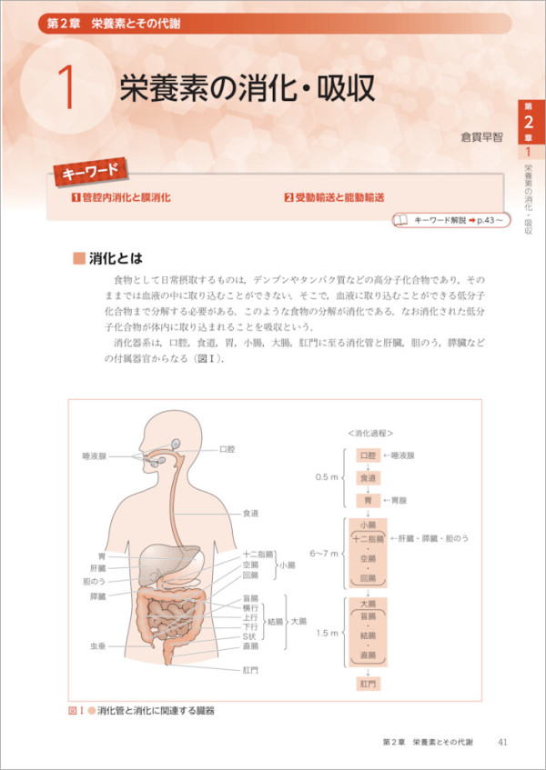 キーワードでわかる臨床栄養 〈令和版〉 - 栄養で治す！基礎から実践まで_2