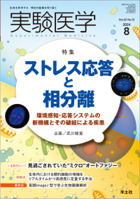 実験医学 〈Ｖｏｌ．４２　Ｎｏ．１３（２０〉 - 生命を科学する明日の医療を切り拓く 特集：ストレス応答と相分離　環境感知・応答システムの新機構と