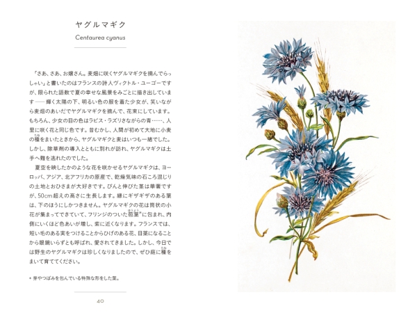 ちいさな手のひら事典　野に咲く草花_2