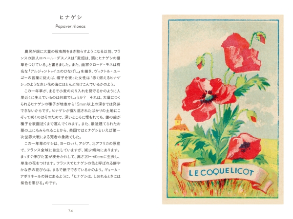 ちいさな手のひら事典　野に咲く草花_3