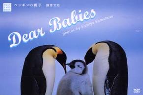 Ｄｅａｒ　Ｂａｂｉｅｓ―ペンギンの親子