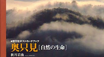 奥只見「自然の生命」 恒文社ポストカードブック