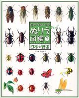 自分で仕上げるぬりえ図鑑 〈シリーズ１〉 日本の昆虫
