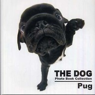 Ｐｕｇ Ｔｈｅ  ｄｏｇ  ｐｈｏｔｏ  ｂｏｏｋ  ｃｏｌｌｅｃｔｉｏｎ