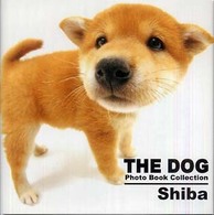 Ｓｈｉｂａ Ｔｈｅ  ｄｏｇ  ｐｈｏｔｏ  ｂｏｏｋ  ｃｏｌｌｅｃｔｉｏｎ