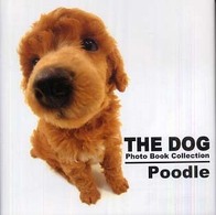 Ｐｏｏｄｌｅ Ｔｈｅ  ｄｏｇ  ｐｈｏｔｏ  ｂｏｏｋ  ｃｏｌｌｅｃｔｉｏｎ