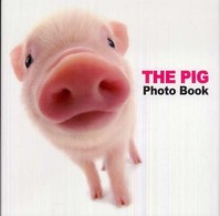 Ｔｈｅ  ｐｉｇ  ｐｈｏｔｏ  ｂｏｏｋ