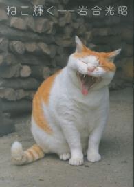 ねこ輝く - ニッポンの猫写真集