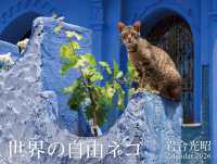 ２０２６　世界の自由ネコ