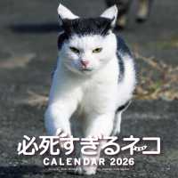 ２０２６　必死すぎるネコカレンダー