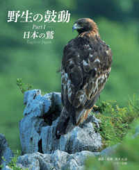 野生の鼓動 〈Ｐａｒｔ１〉 日本の鷲