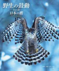 野生の鼓動 〈Ｐａｒｔ３〉 日本の鷹