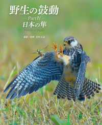 野生の鼓動　ＰａｒｔⅣ　日本の隼