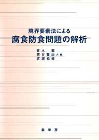 境界要素法による　腐食防食問題の解析