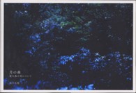 月の森 - 屋久島の光について