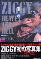 Ｚｉｇｇｙ　ｈｅａｖｅｎ　ａｎｄ　ｈｅｌｌ 〈ｓｉｄｅ　ｈｅｌｌ〉 - 天国と地獄のはざまで