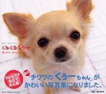 くるくるくぅー―癒し犬くぅーちゃんフォトブック