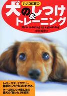犬のしつけ＆トレーニング - いいコに育つ