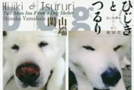 ひじきとつるり - シェルターから来た秋田犬
