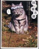 飼い猫志願 - ほぼ２歳までノラやってました。