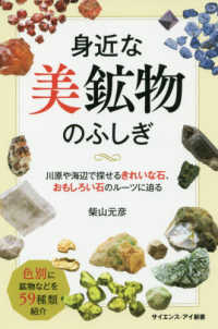 身近な美鉱物のふしぎ - 川原や海辺で探せるきれいな石、おもしろい石のルーツ サイエンス・アイ新書