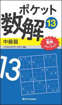 ポケット数解中級篇 〈１３〉