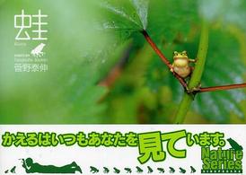 蛙