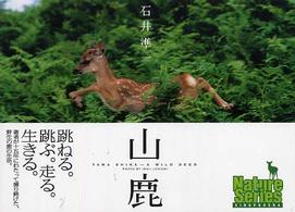 山鹿