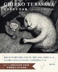 寺澤智恵子作品集　まいにちの、すてきないろいろ