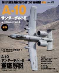 Ａ－１０サンダーボルト２ イカロスＭＯＯＫ
